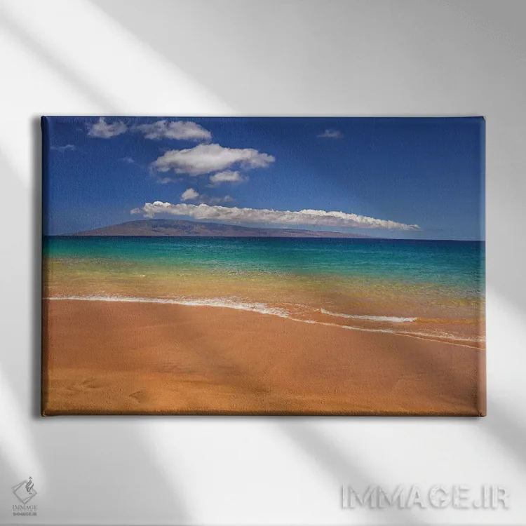تابلو ساحل گرمسیری اثر برایان ولف - نمای روبهرو روی دیوار