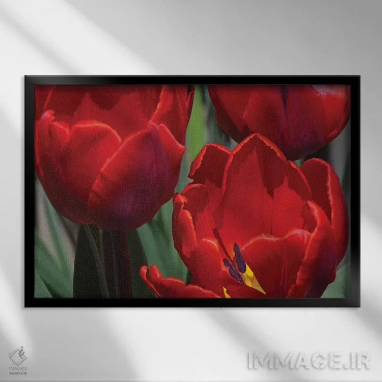 تابلو لالهها اثر برایان ولف - نمای قابدار مشکی