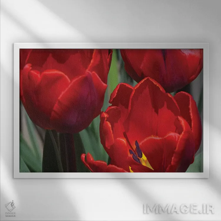 تابلو لالهها اثر برایان ولف - نمای قابدار سفید