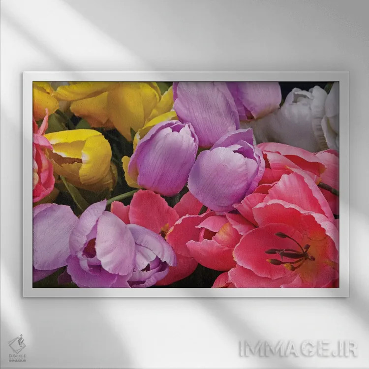 تابلو دسته گل لاله اثر برایان ولف - نمای قابدار سفید