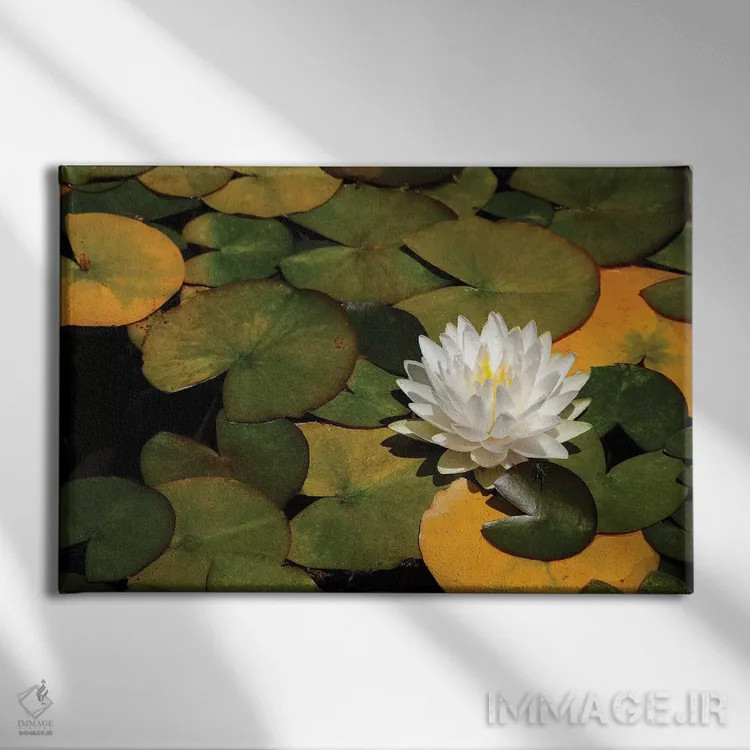 تابلو سوسن سفید اثر برایان ولف - نمای روبهرو روی دیوار