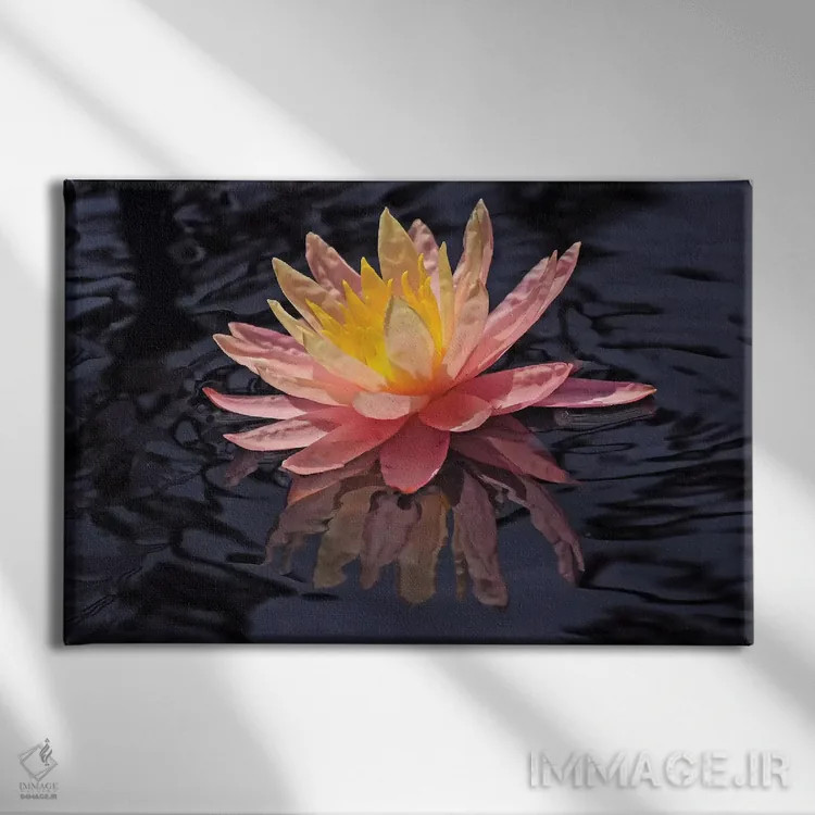 تابلو انعکاس نیلوفر آبی اثر برایان ولف - نمای روبهرو روی دیوار