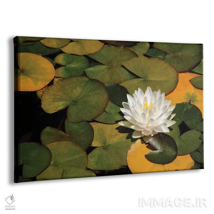 تابلو سوسن سفید اثر برایان ولف - نمای پرسپکتیو محصول