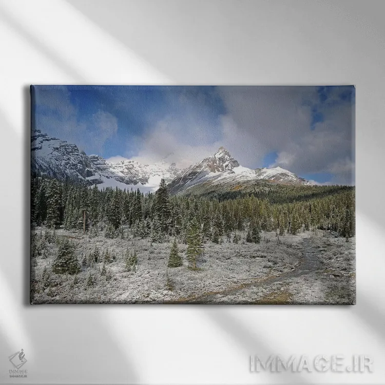 تابلو گردنه ویلکاکس اثر برایان ولف - نمای روبهرو روی دیوار