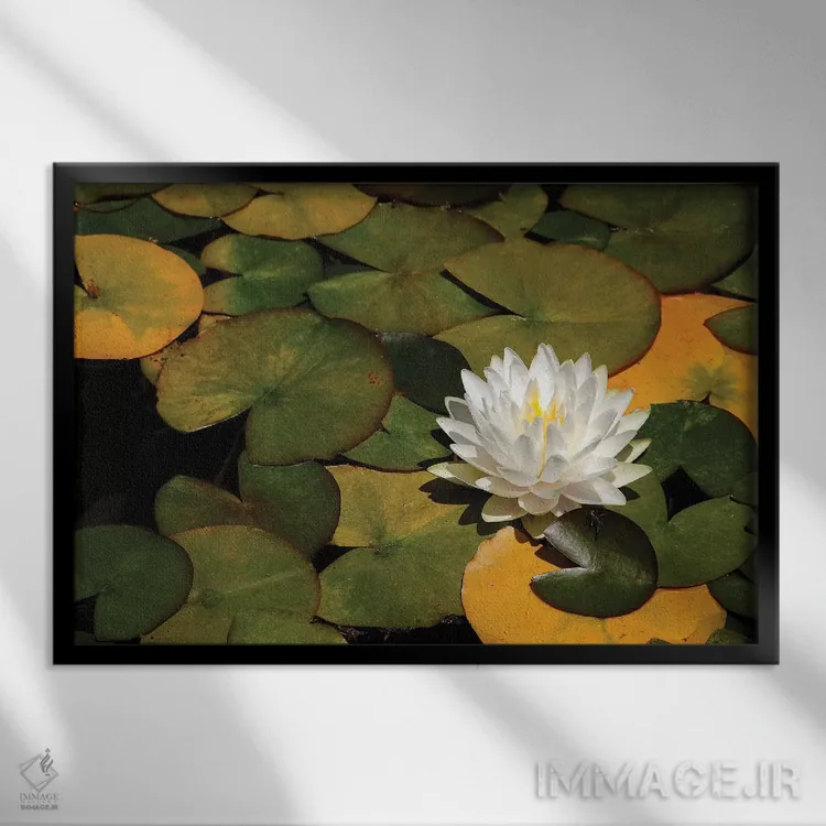 تابلو سوسن سفید اثر برایان ولف - نمای قابدار مشکی