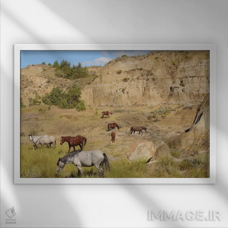 تابلو گله سرزمینهای بایر اثر برایان ولف - نمای قابدار سفید