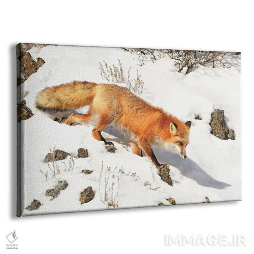 تابلو روباه زمستانی اثر برایان ولف - نمای پرسپکتیو محصول