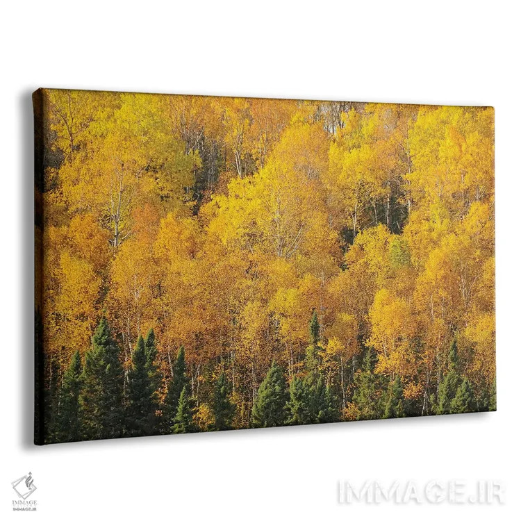 تابلو زردهای مسیر گانفلینت اثر برایان ولف - نمای پرسپکتیو محصول