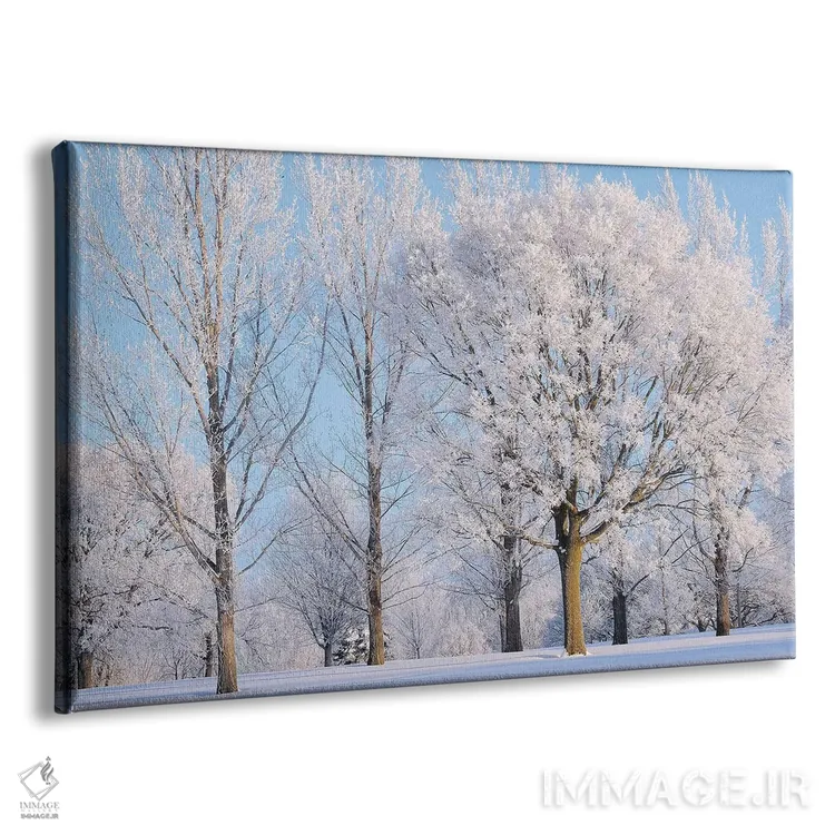 تابلو درختان زمستانی اثر برایان ولف - نمای پرسپکتیو محصول