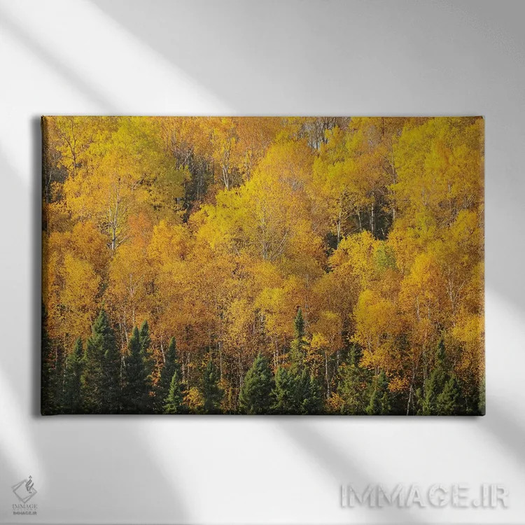 تابلو زردهای مسیر گانفلینت اثر برایان ولف - نمای روبهرو روی دیوار