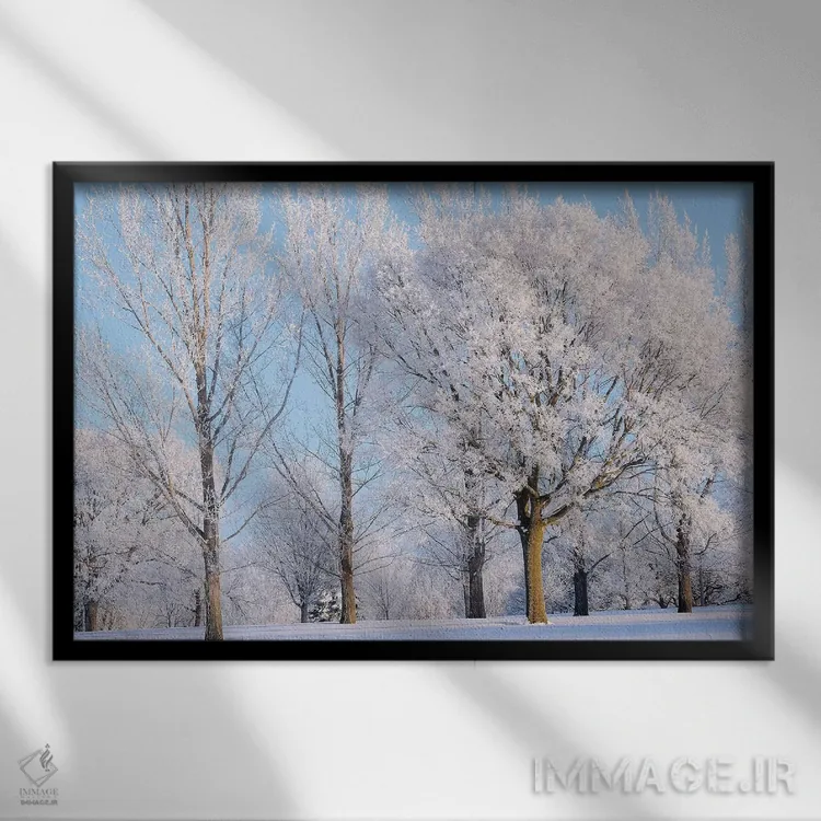 تابلو درختان زمستانی اثر برایان ولف - نمای قابدار مشکی