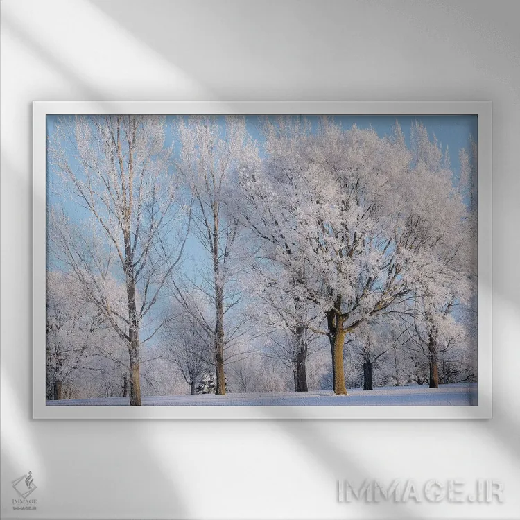 تابلو درختان زمستانی اثر برایان ولف - نمای قابدار سفید