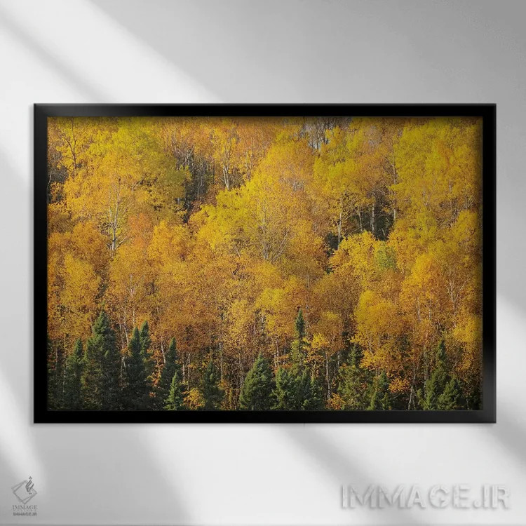 تابلو زردهای مسیر گانفلینت اثر برایان ولف - نمای قابدار مشکی