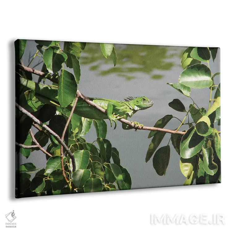 تابلو ایگوآنای جوان اثر برایان ولف - نمای پرسپکتیو محصول