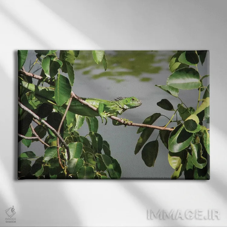 تابلو ایگوآنای جوان اثر برایان ولف - نمای روبهرو روی دیوار