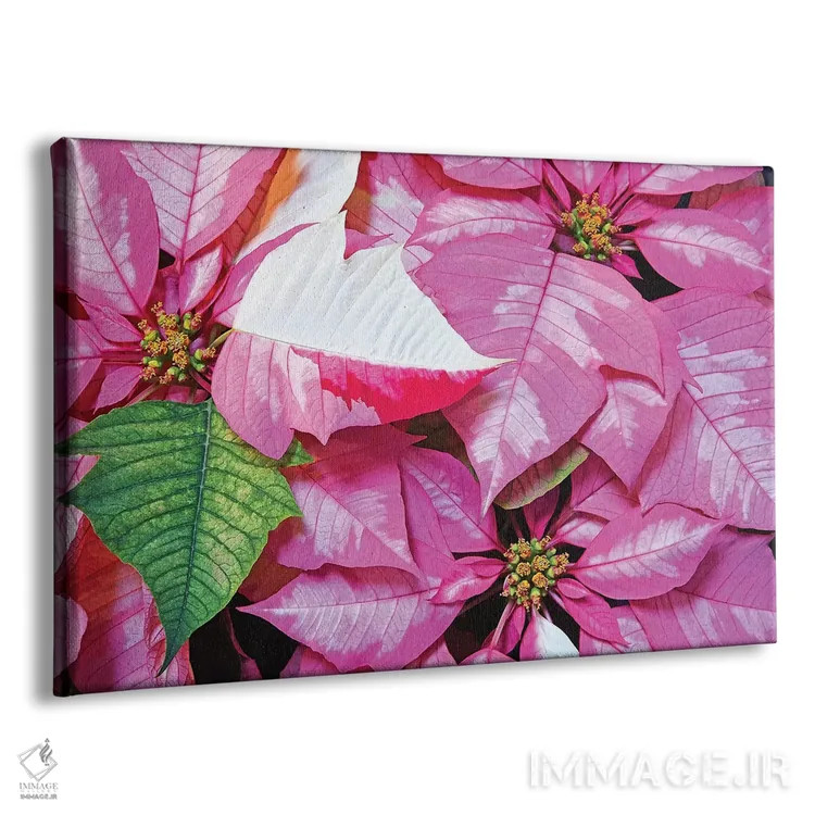 تابلو شادی تعطیلات اثر برایان ولف - نمای پرسپکتیو محصول