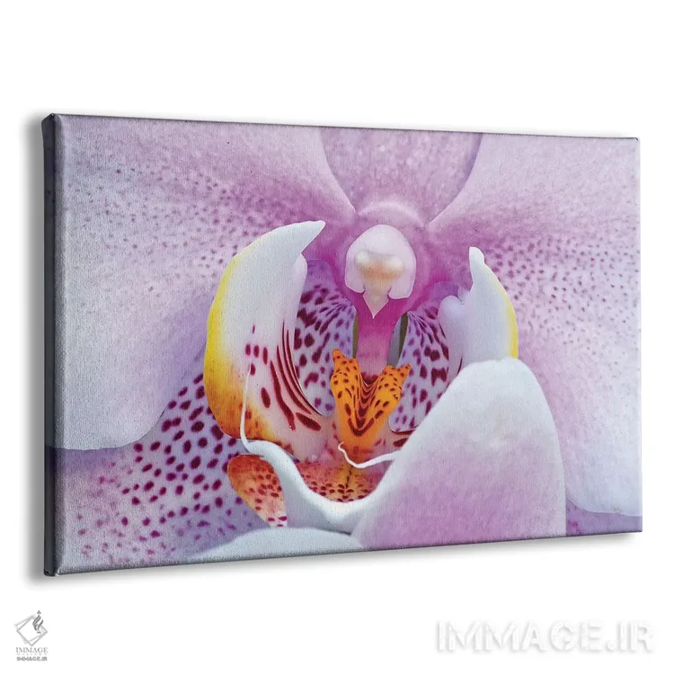تابلو ارکیده اثر برایان ولف - نمای پرسپکتیو محصول