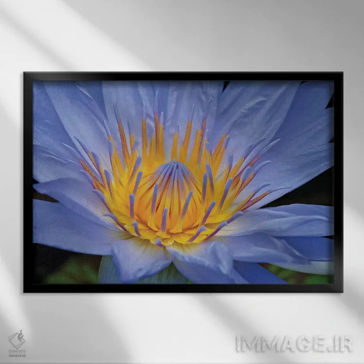 تابلو سوسن آبی اثر برایان ولف - نمای قابدار مشکی
