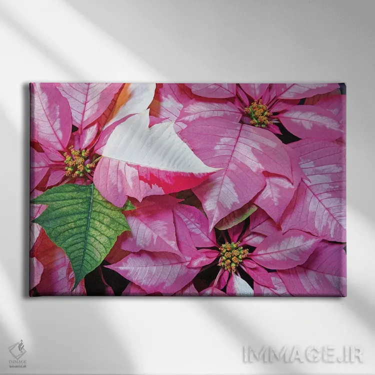 تابلو شادی تعطیلات اثر برایان ولف - نمای روبهرو روی دیوار