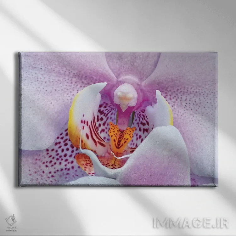 تابلو ارکیده اثر برایان ولف - نمای روبهرو روی دیوار