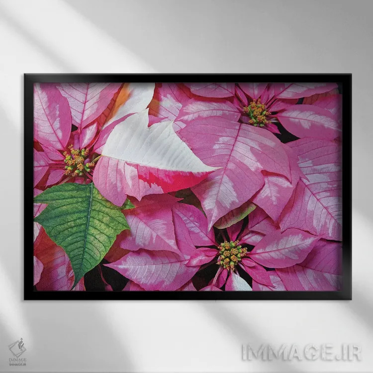 تابلو شادی تعطیلات اثر برایان ولف - نمای قابدار مشکی