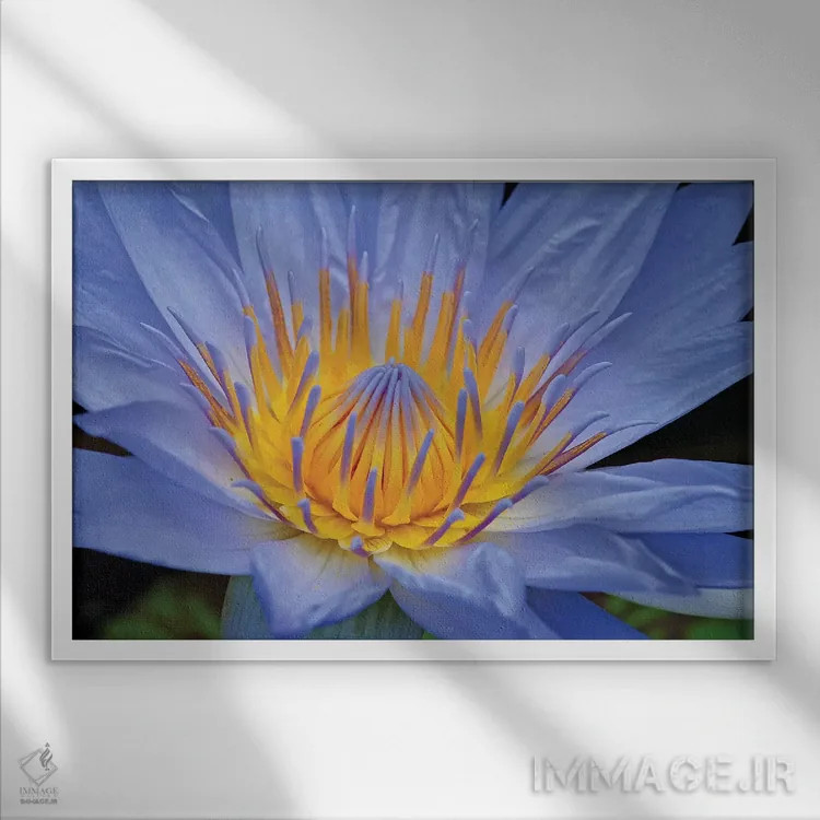 تابلو سوسن آبی اثر برایان ولف - نمای قابدار سفید