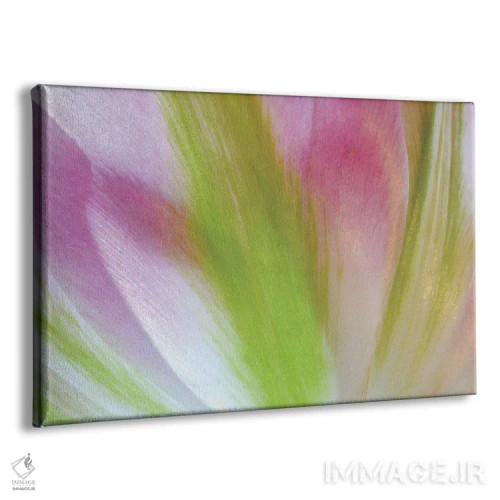 تابلو رنگهای لاله اثر برایان ولف - نمای پرسپکتیو محصول