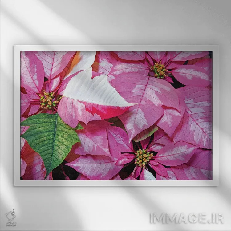 تابلو شادی تعطیلات اثر برایان ولف - نمای قابدار سفید