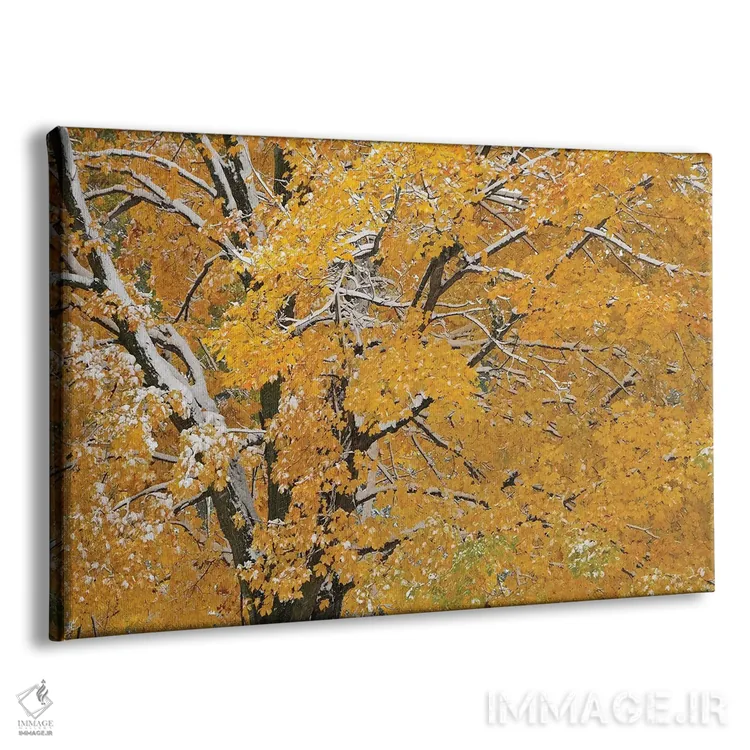 تابلو برف پاییزی اثر برایان ولف - نمای پرسپکتیو محصول