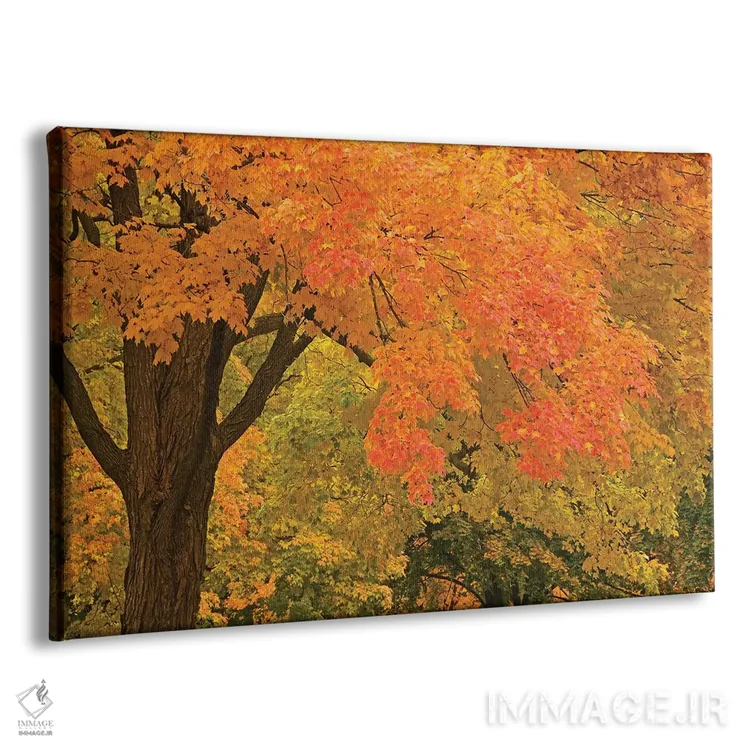 تابلو شکوه پاییز اثر برایان ولف - نمای پرسپکتیو محصول