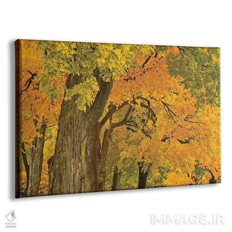 تابلو رنگهای پاییز اثر برایان ولف - نمای پرسپکتیو محصول