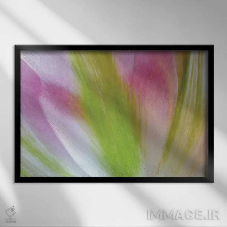 تابلو رنگهای لاله اثر برایان ولف - نمای قابدار مشکی