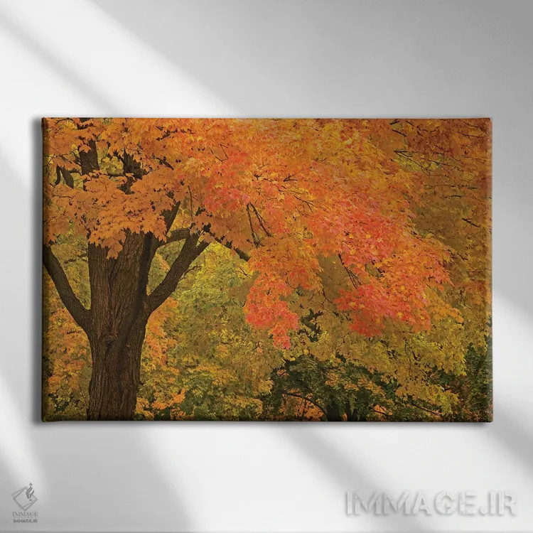 تابلو شکوه پاییز اثر برایان ولف - نمای روبهرو روی دیوار