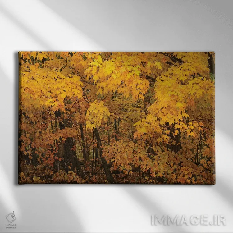 تابلو افراهای زرد اثر برایان ولف - نمای روبهرو روی دیوار