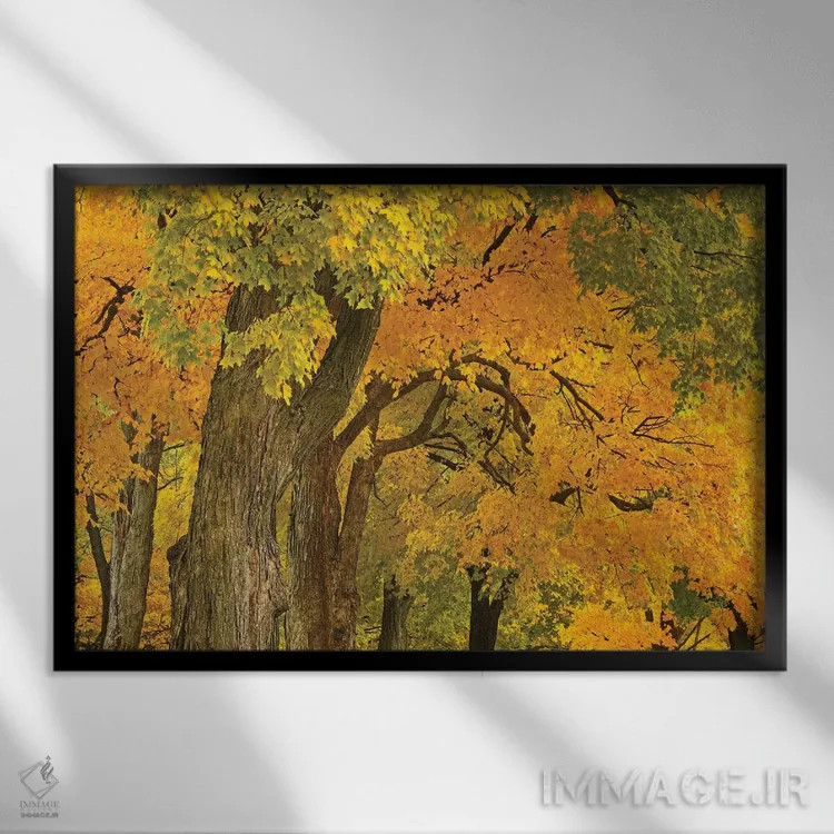 تابلو رنگهای پاییز اثر برایان ولف - نمای قابدار مشکی