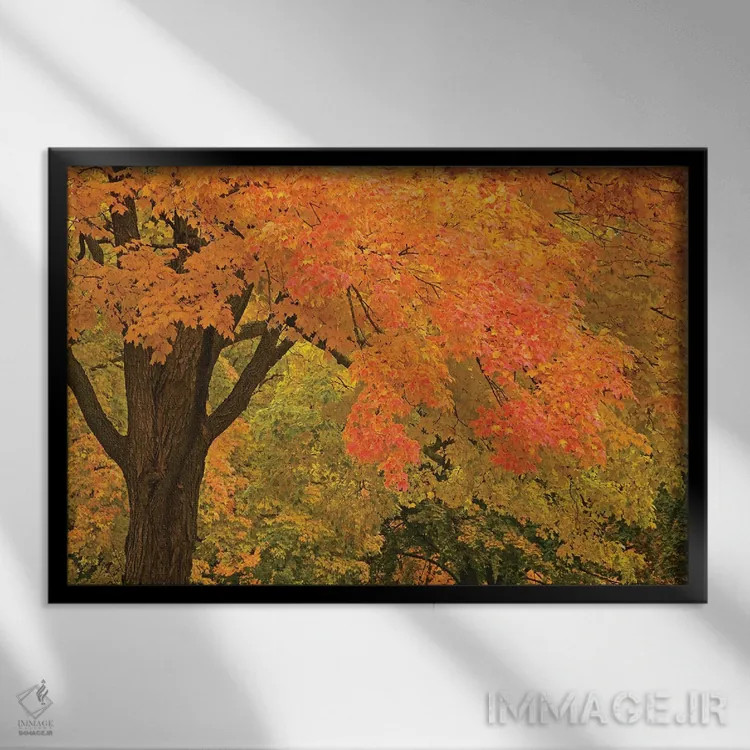 تابلو شکوه پاییز اثر برایان ولف - نمای قابدار مشکی