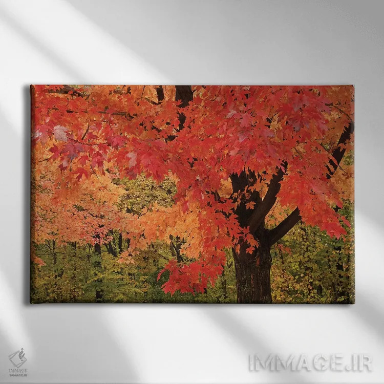 تابلو افرای سرخ اثر برایان ولف - نمای روبهرو روی دیوار