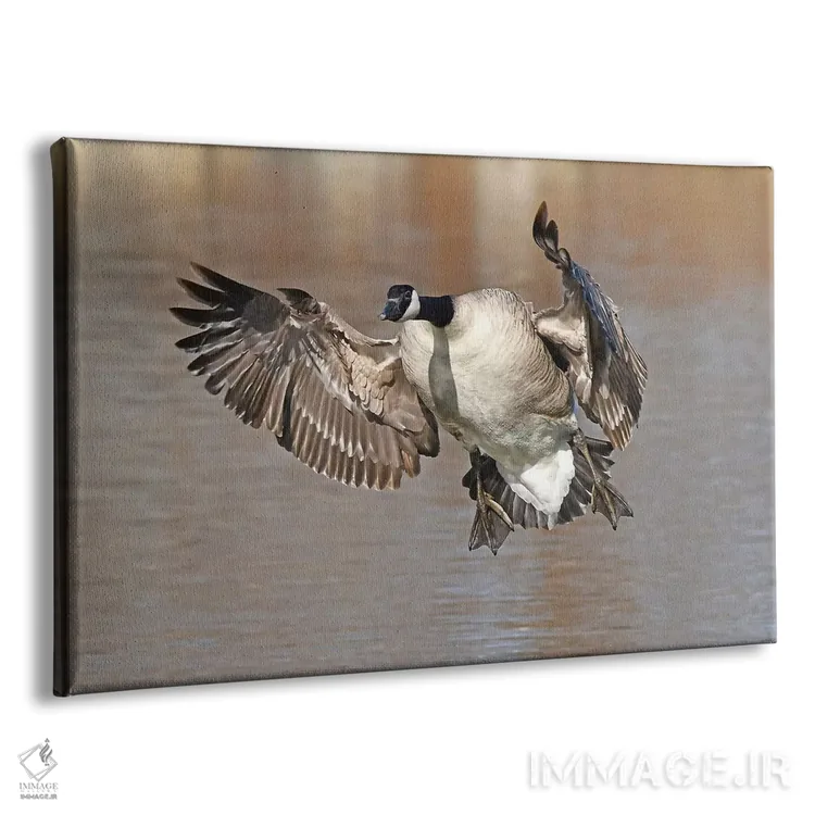 تابلو ترمز کردن اثر برایان ولف - نمای پرسپکتیو محصول