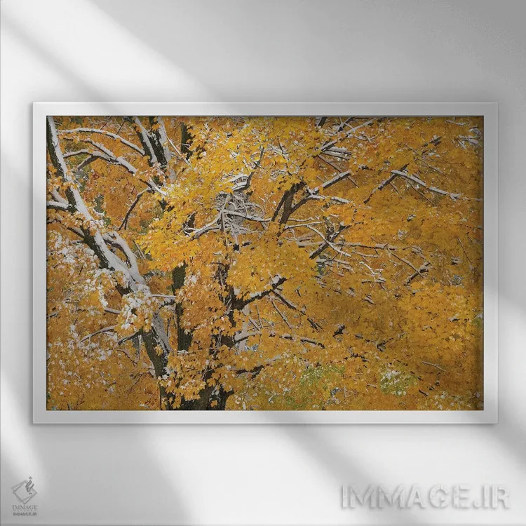 تابلو برف پاییزی اثر برایان ولف - نمای قابدار سفید