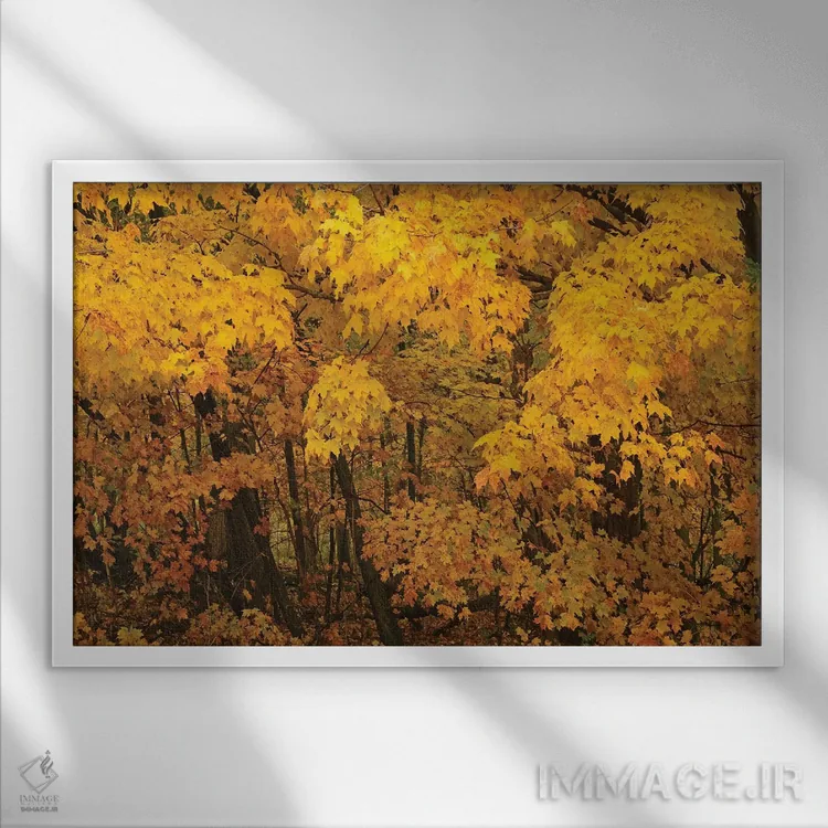 تابلو افراهای زرد اثر برایان ولف - نمای قابدار سفید