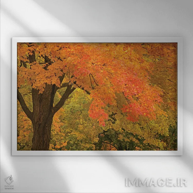 تابلو شکوه پاییز اثر برایان ولف - نمای قابدار سفید