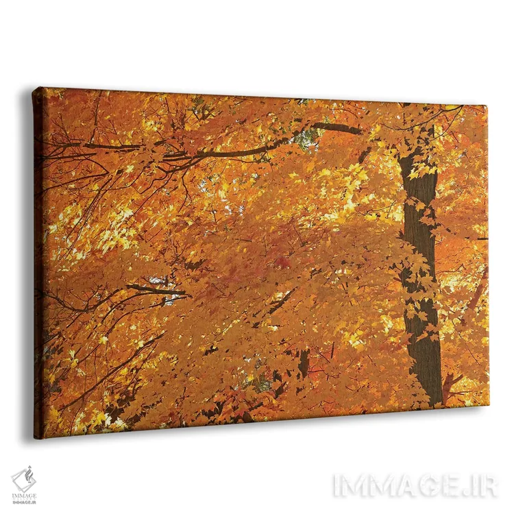 تابلو افراهای نورانی (افراهای آفتابخورده) اثر برایان ولف - نمای پرسپکتیو محصول