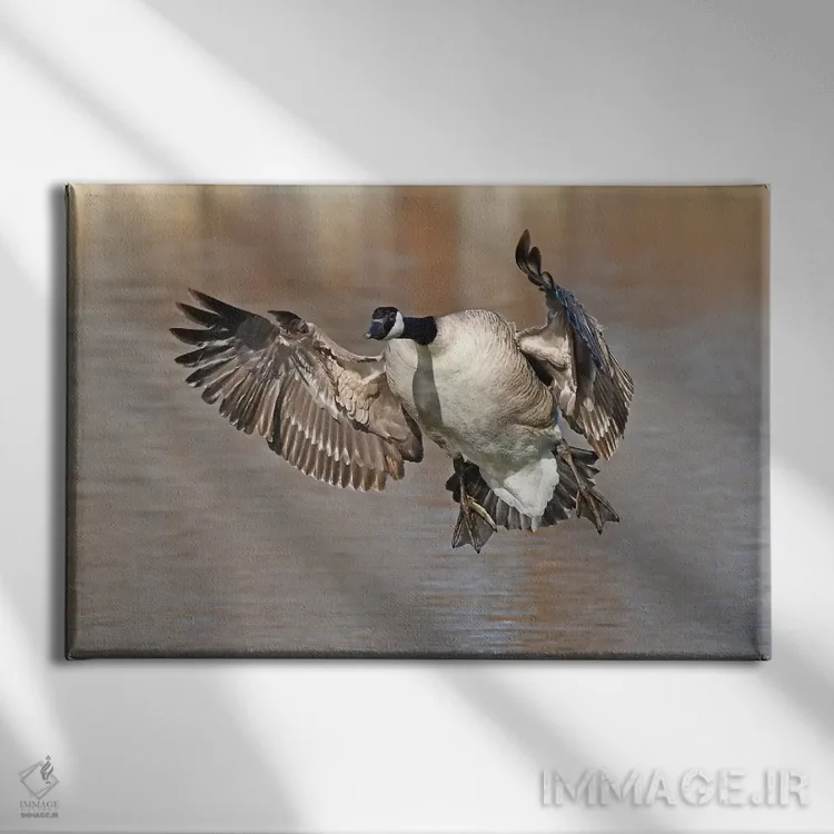 تابلو ترمز کردن اثر برایان ولف - نمای روبهرو روی دیوار