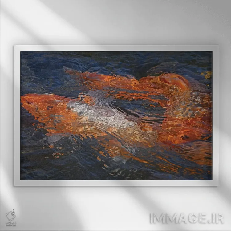 تابلو طرح انتزاعی کوی (ماهی تزئینی ژاپنی) اثر برایان ولف - نمای قابدار سفید