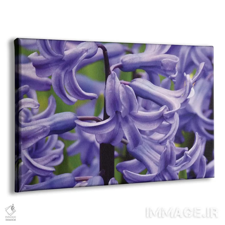 تابلو سنبلها از نزدیک اثر برایان ولف - نمای پرسپکتیو محصول