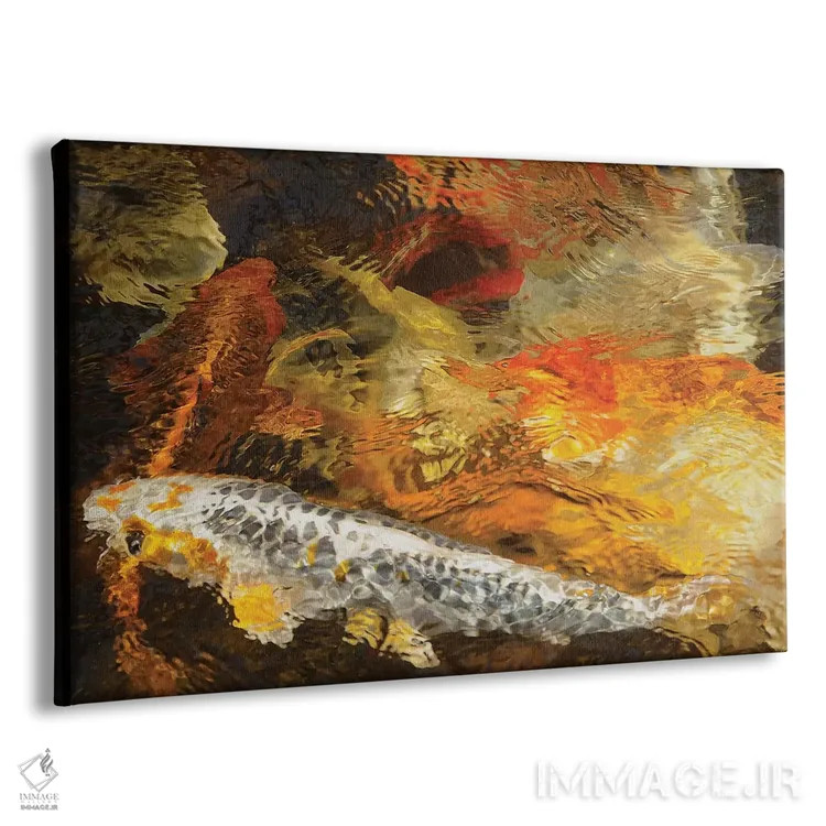 تابلو رنگهای ماهی کوی اثر برایان ولف - نمای پرسپکتیو محصول