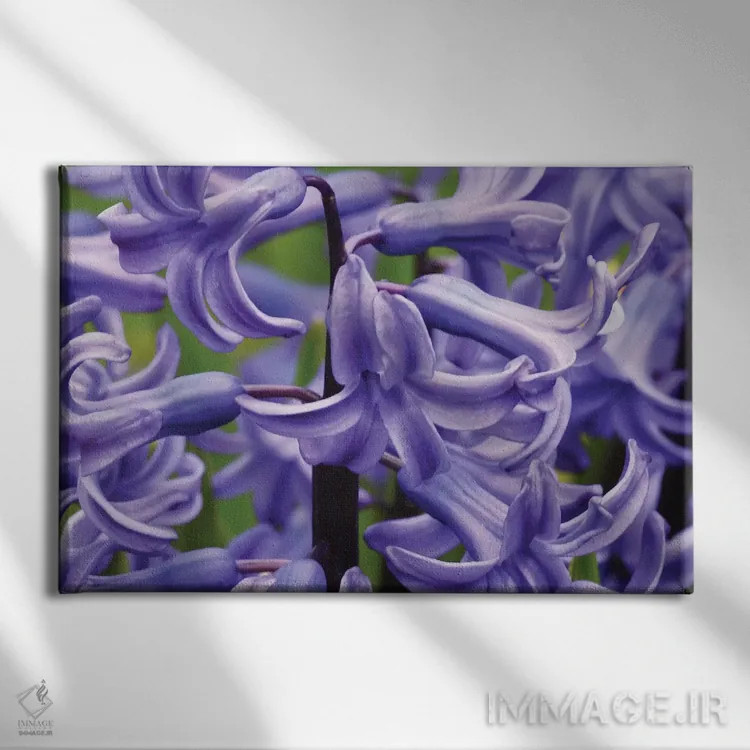 تابلو سنبلها از نزدیک اثر برایان ولف - نمای روبهرو روی دیوار