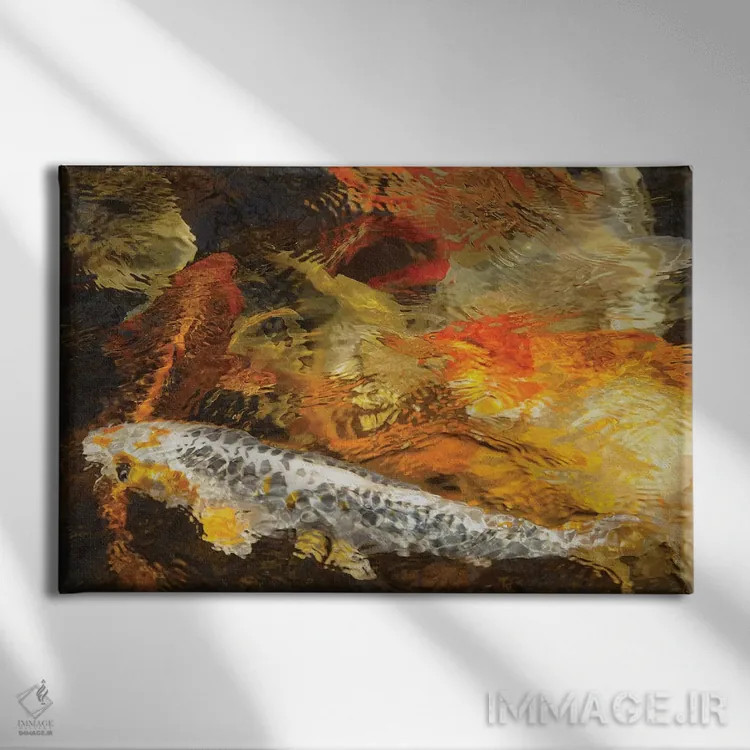 تابلو رنگهای ماهی کوی اثر برایان ولف - نمای روبهرو روی دیوار
