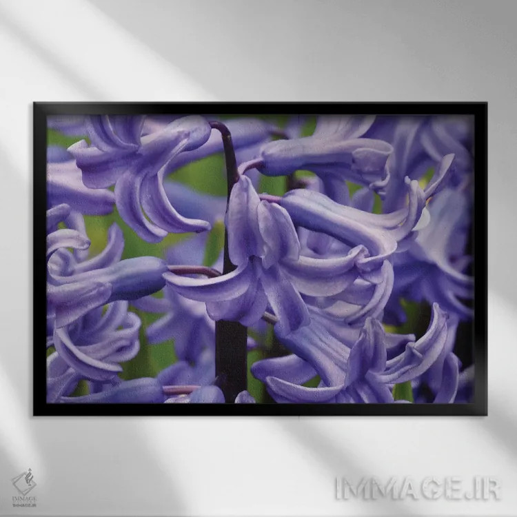 تابلو سنبلها از نزدیک اثر برایان ولف - نمای قابدار مشکی