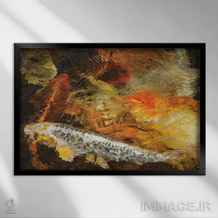 تابلو رنگهای ماهی کوی اثر برایان ولف - نمای قابدار مشکی